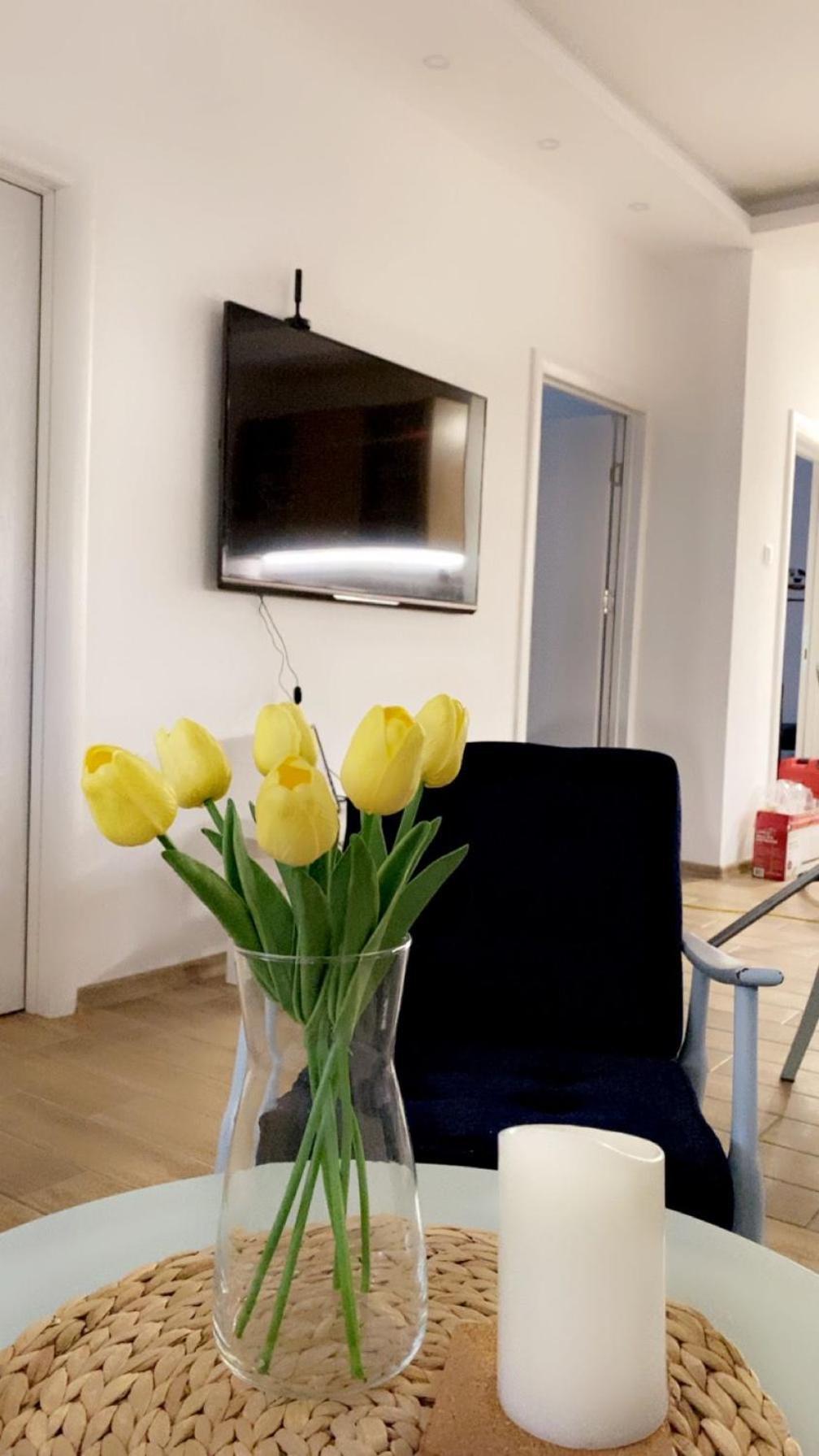 Vanja Apartman Вршац Екстер'єр фото