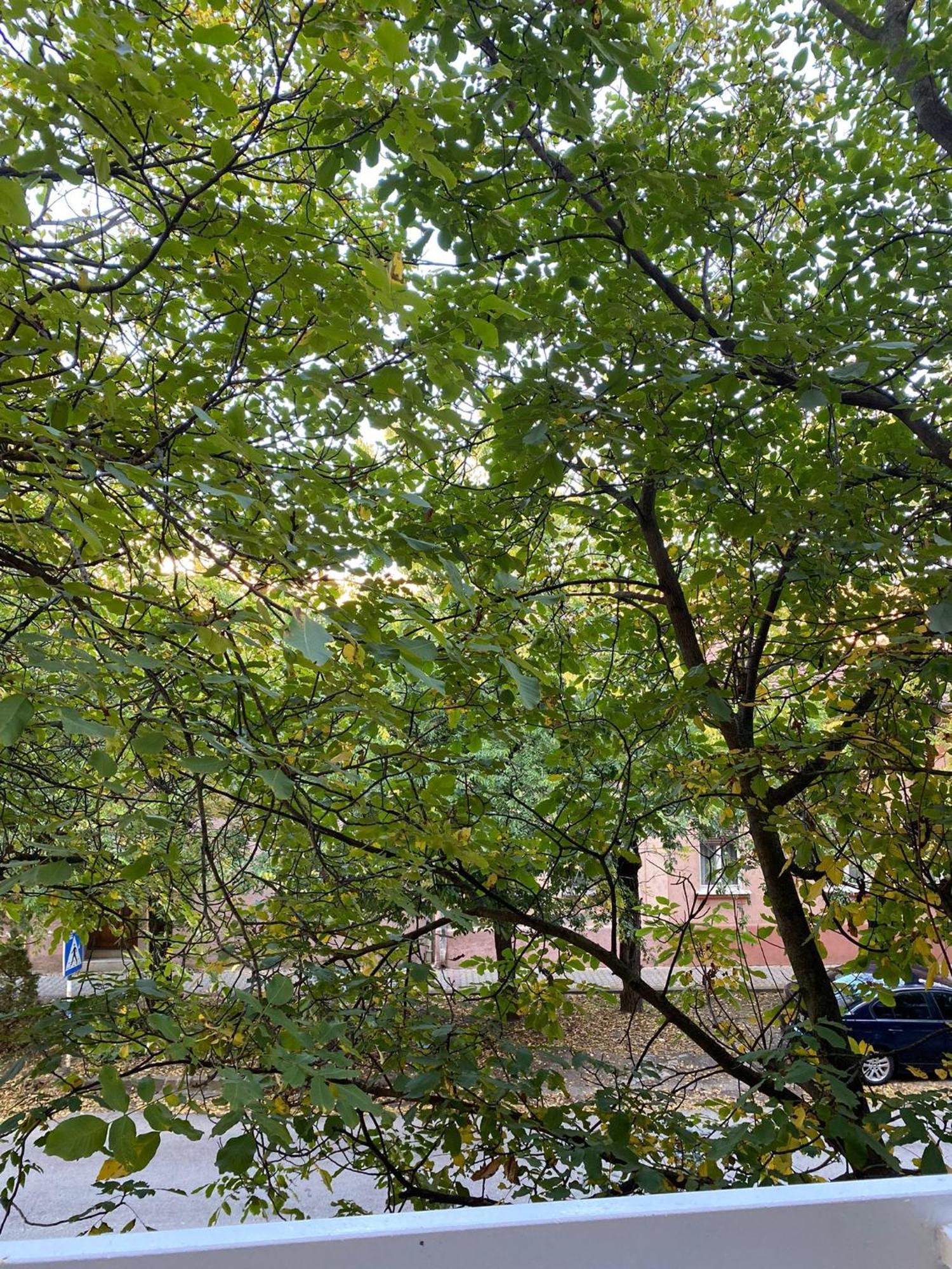 Vanja Apartman Вршац Екстер'єр фото